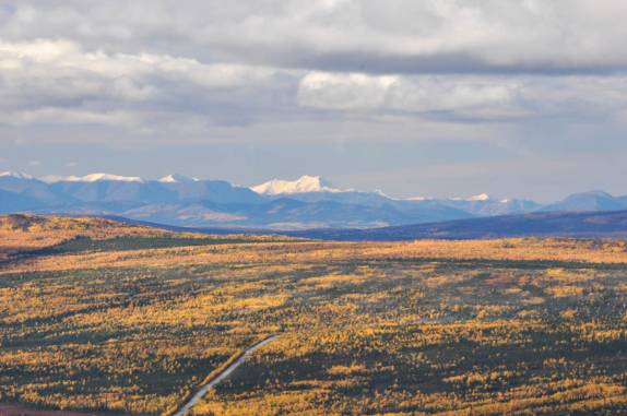 A Dalton Highway atravessa floresta completamente amarelada, com montanhas nevadas ao fundo, pouco antes de chegar ao Círculo Polar, no norte do Alaska